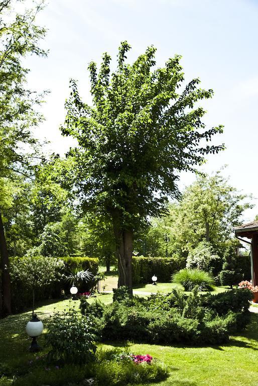 Vila Dincic Doo Hotel Veliko Gradiste Exterior photo